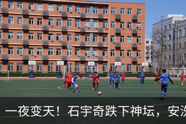 一夜变天！石宇奇跌下神坛，安洗莹封神，4个单项世界第2全换人