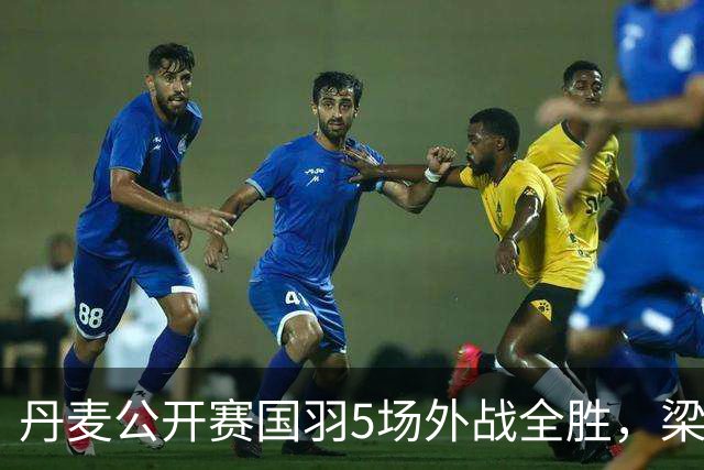 丹麦公开赛国羽5场外战全胜，梁王决胜局21比15，我在省队做了14年陪练