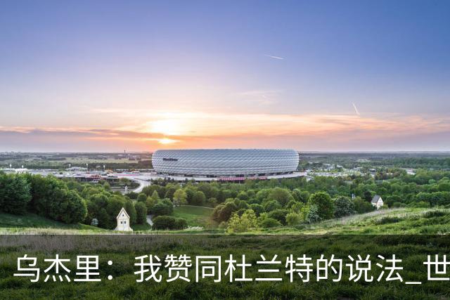 乌杰里：我赞同杜兰特的说法 世界上只有一个欧文