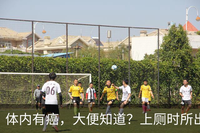 体内有癌，大便知道？上厕时所出现4种异常，可能是癌症信号