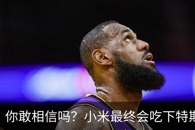 你敢相信吗？小米最终会吃下特斯拉中国的全部市场份额！