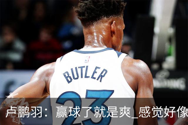 卢鹏羽：赢球了就是爽 感觉好像憋了一口气上不来 终于上来了