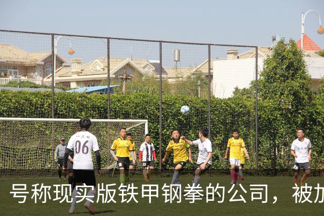 号称"现实版铁甲钢拳"的公司，被加州一纸禁令叫停了