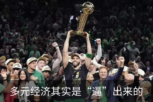 多元经济其实是“逼”出来的