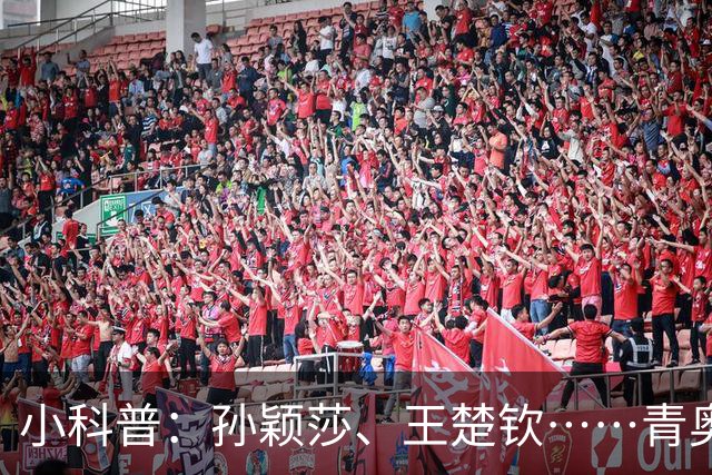 小科普：孙颖莎、王楚钦……青奥会上走出多少体坛名将？