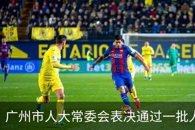 广州市人大常委会表决通过一批人事任免事项