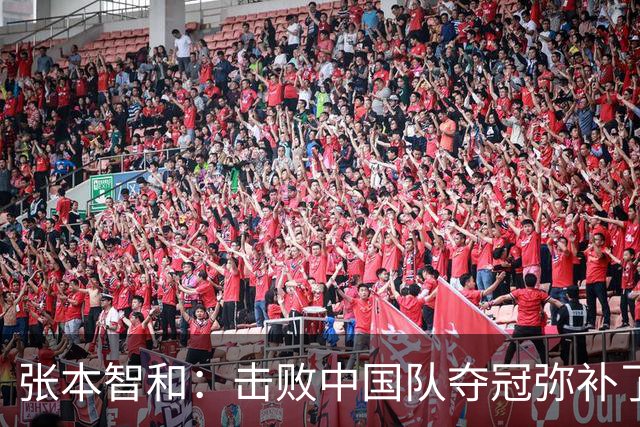 张本智和：击败中国队夺冠弥补了我的无数次不甘！以后会不断拿下金牌