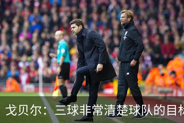 戈贝尔：三球非常清楚球队的目标 如果团结一致我们就能实现它