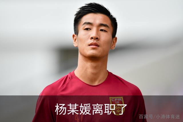 杨某媛离职了