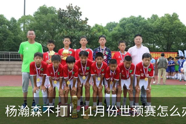 杨瀚森不打！11月份世预赛怎么办？这三人重返国家队才有可能赢