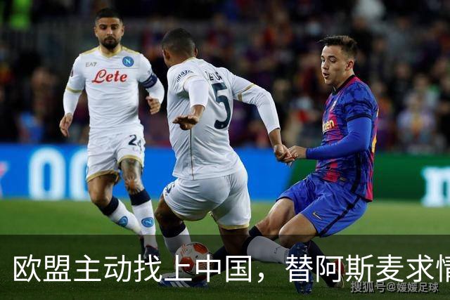 欧盟主动找上中国，替阿斯麦求情：中方别管制了，真顶不住