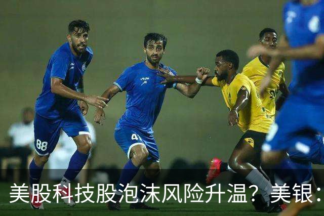 美股科技股泡沫风险升温？美银：纳指100上涨过度依赖少数AI巨头 可通过期权捕捉机会