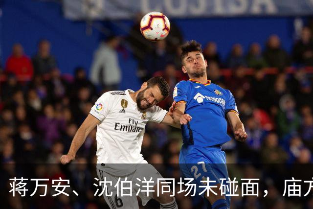蒋万安、沈伯洋同场未碰面，庙方喊“参加大选”，蒋万安反应曝光