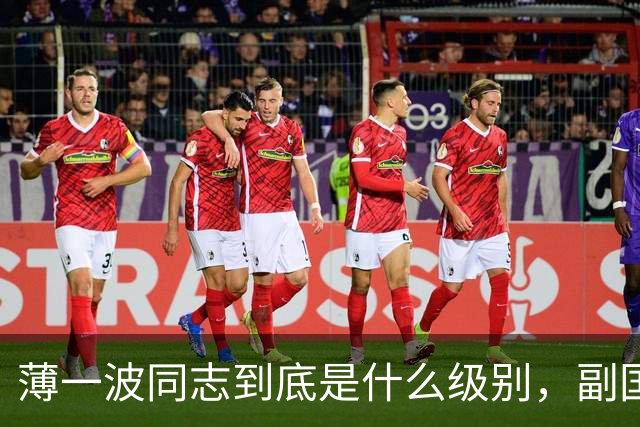 薄一波同志到底是什么级别，副国级？还是正国级？