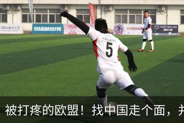 被打疼的欧盟！找中国走个面，并承认：中方已摸清他们所有软肋