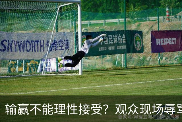 输赢不能理性接受？观众现场辱骂教练队员，王皓举动引热议