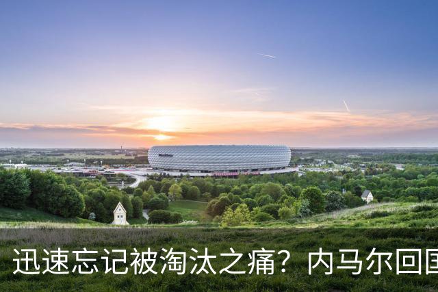 迅速忘记被淘汰之痛？内马尔回国开派对遭球迷批评