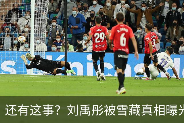 还有这事？刘禹彤被雪藏真相曝光，宫鲁鸣铁腕治军，真不是浪得虚名