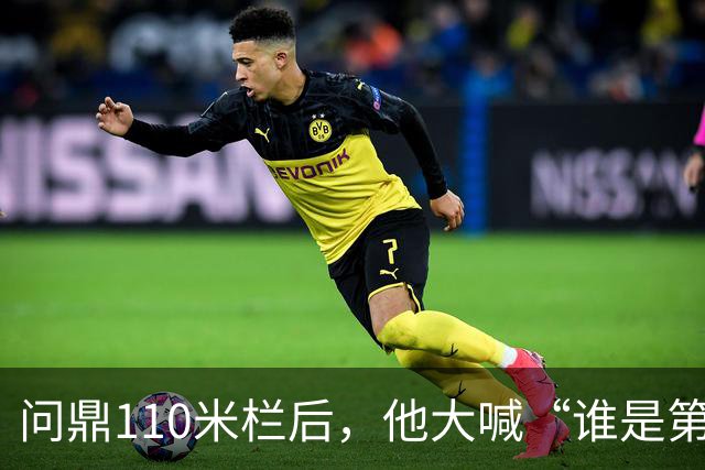 问鼎110米栏后，他大喊“谁是第一？中国！”