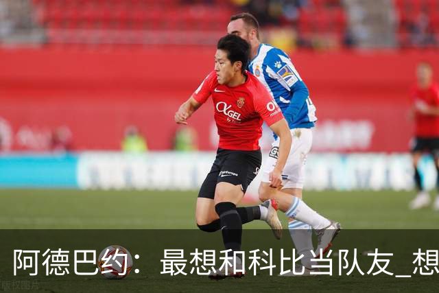 阿德巴约：最想和科比当队友 想从他的视角理解比赛