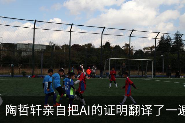 陶哲轩亲自把AI的证明翻译了一遍：它用遍历论，我用组合学，结论一样——证明成立