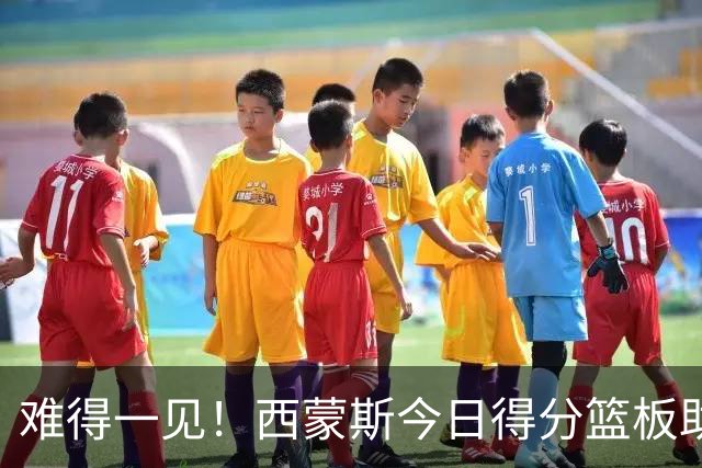 难得一见！西蒙斯今日得分/篮板/助攻/抢断数据 都不输詹姆斯