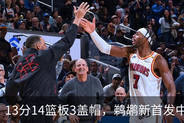 13分14篮板3盖帽，鹈鹕新首发中锋首秀交出两双