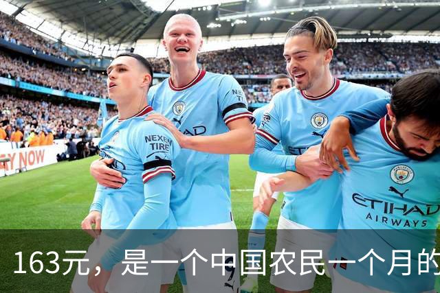 163元，是一个中国农民一个月的全部尊严和保障吗？