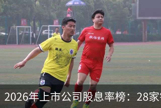 2026年上市公司股息率榜：28家银行入选