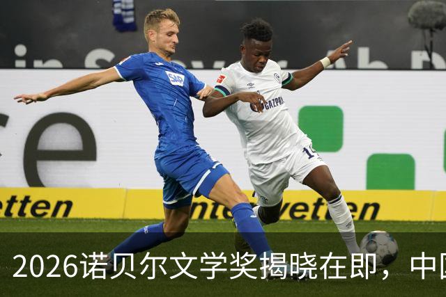 2026诺贝尔文学奖揭晓在即，中国作家残雪成最热门人选