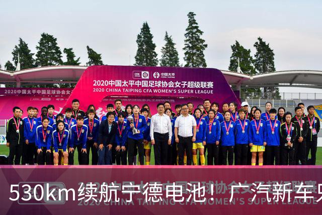 530km续航/宁德电池！广汽新车只要8万